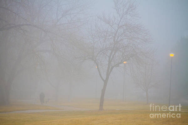 Fog Poster featuring the photograph Foggy Park Morning by James BO Insogna
