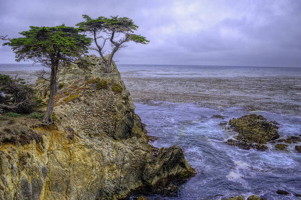 Hdr Poster featuring the photograph Foglift by Stephen Campbell