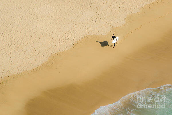 Gray Whale Cove Poster featuring the photograph Follow Your Own Path by Amy Fearn