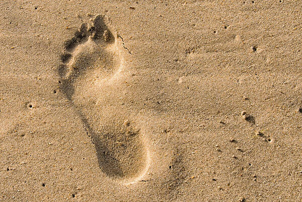 Beach Poster featuring the photograph Footprint in the Sand by Georgette Grossman