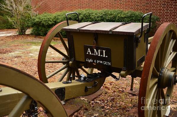 Brown Poster featuring the photograph Fort Anderson Artillery by Bob Sample