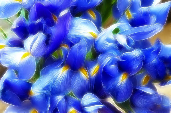 Flowers Poster featuring the photograph Fractal Iris by Cathy Kovarik