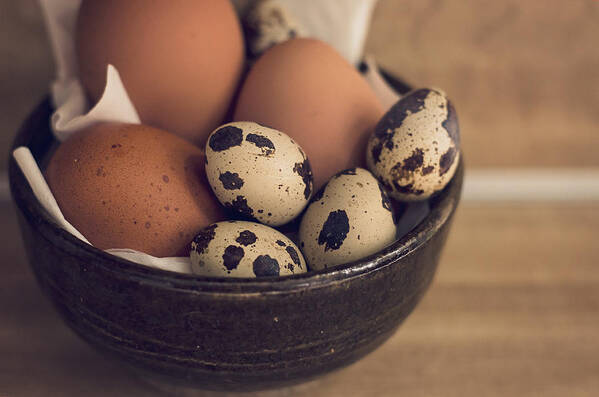 Egg Poster featuring the photograph Fresh Eggs by Heather Applegate