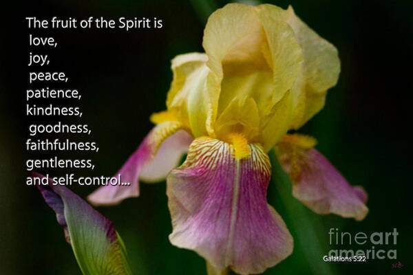 Spring Poster featuring the photograph Fruit of the Spirit by Sandra Clark