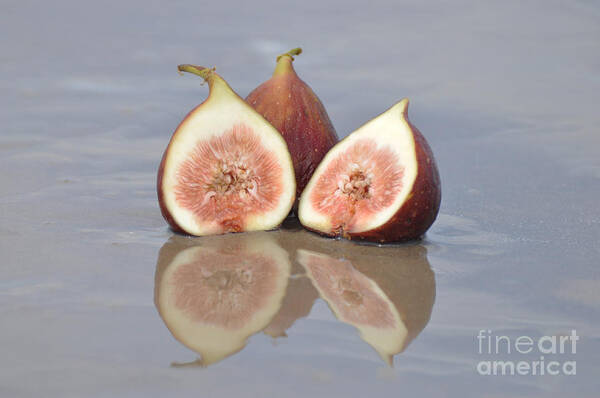 Fruit Photography Poster featuring the photograph Fruitscape Figs by Josephine Cohn