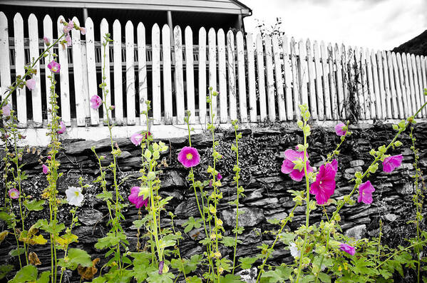 Garden Poster featuring the photograph Garden Wall - Harpers Ferry by Bill Cannon