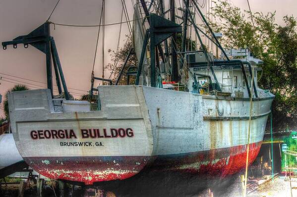  Boats Art Poster featuring the photograph Georgia Bulldog by Dennis Baswell