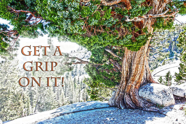 Get A Grip Poster featuring the photograph Get A Grip On It by Randall Branham