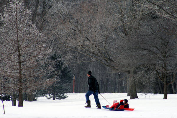 Winter Poster featuring the photograph Getty-Up Daddy by Kay Novy