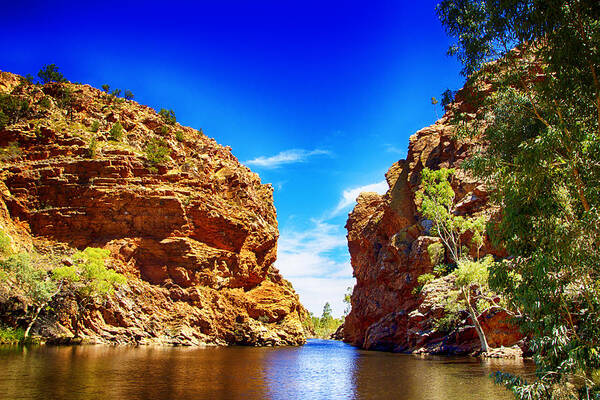 Glen Helen Gorge Poster featuring the photograph Glen Helen Gorge-Outback Central Australia by Douglas Barnard
