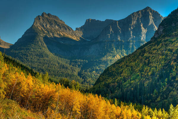 Aspens Poster featuring the photograph Going to the Sun Road by Brenda Jacobs