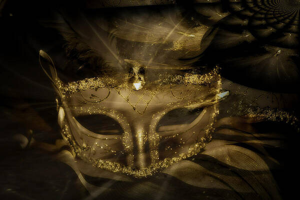 Gold Poster featuring the photograph Gold in the Mask by Amanda Eberly