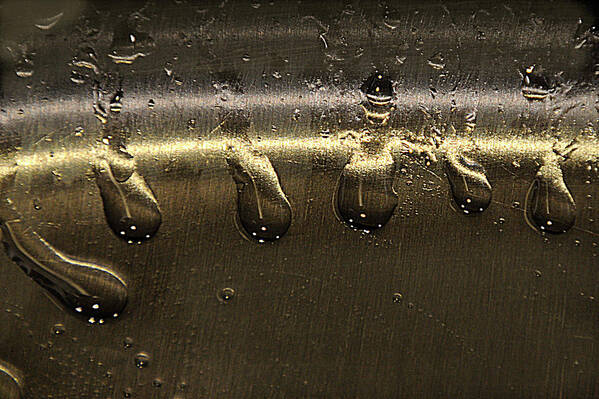 Metallic Poster featuring the photograph Golden Droplets by Geraldine Alexander