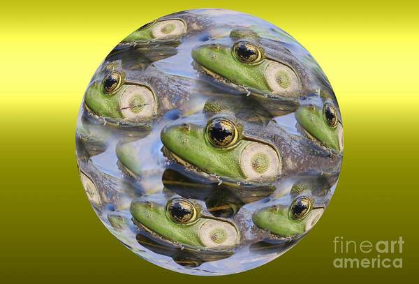 Frog Poster featuring the photograph Golden Eye by Rick Rauzi