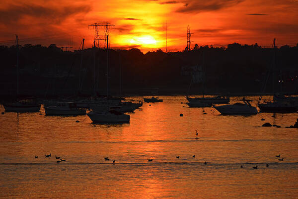Salem Poster featuring the photograph Golden sunset over Salem Harbor by Toby McGuire