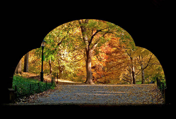 Central Park Poster featuring the photograph Golden Underpass by S Paul Sahm