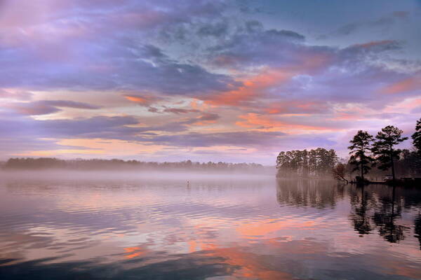 Good Morning Poster featuring the photograph Good Morning by Lisa Wooten