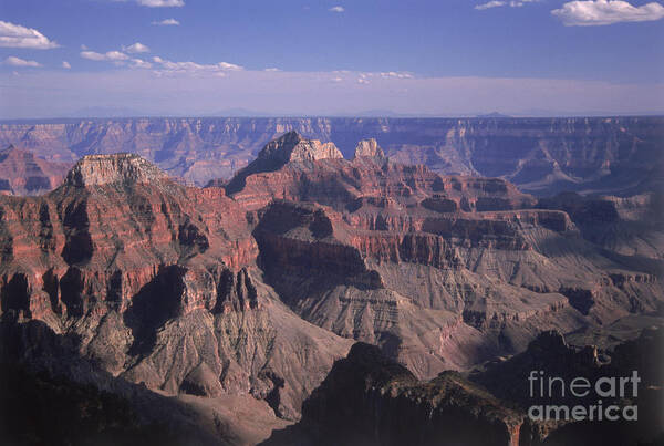 Grand Canyon Poster featuring the photograph Grand Canyon by Mark Newman