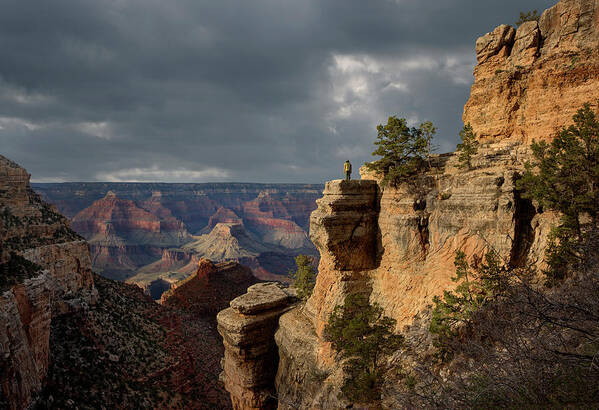 Scenics Poster featuring the photograph Grand Canyon National Park, Bright by Ed Freeman