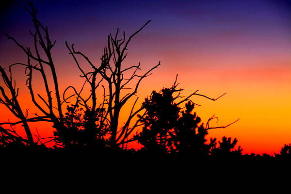 Grand Canyon Poster featuring the photograph Grand Canyon Sunset by Aidan Moran