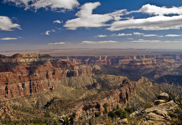 Landscape Poster featuring the photograph Grand Canyon View by SEA Art