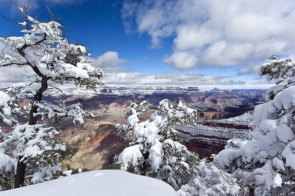 Grand Canyon Poster featuring the photograph Grand Canyon Winter - 1 by Paul Riedinger