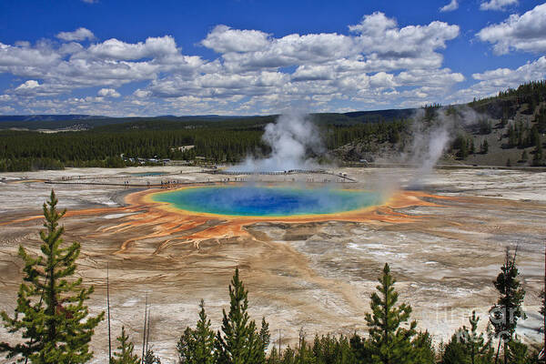 Midway Geyser Basin Poster featuring the photograph Grand Prismatic Hot Spring by Jennifer Ludlum