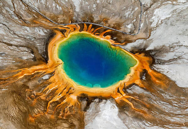 North America Poster featuring the photograph Grand Prismatic Spring Overhead by Max Waugh
