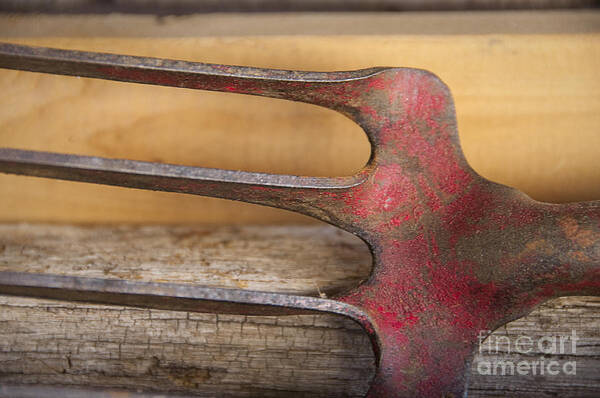 Grandpa Poster featuring the photograph Grandpa's Tools by Terry Rowe