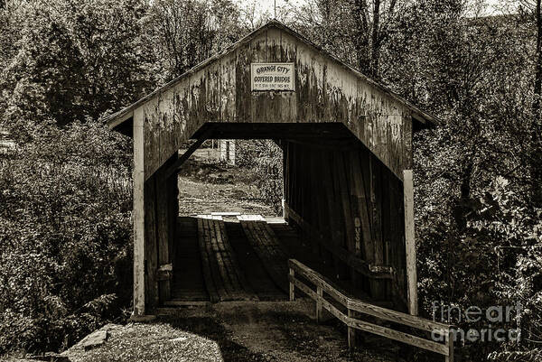 Architecture Poster featuring the photograph Grange City Covered Bridge - Sepia by Mary Carol Story