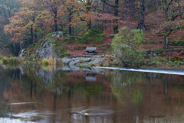 Grasmere Poster featuring the photograph Grasmere Reflections by Nick Atkin