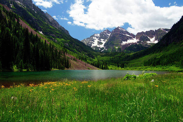 Colorado Poster featuring the photograph Grassy Bells by Jeremy Rhoades