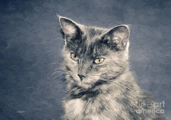 Digital Poster featuring the digital art Gray Cat by Jutta Maria Pusl