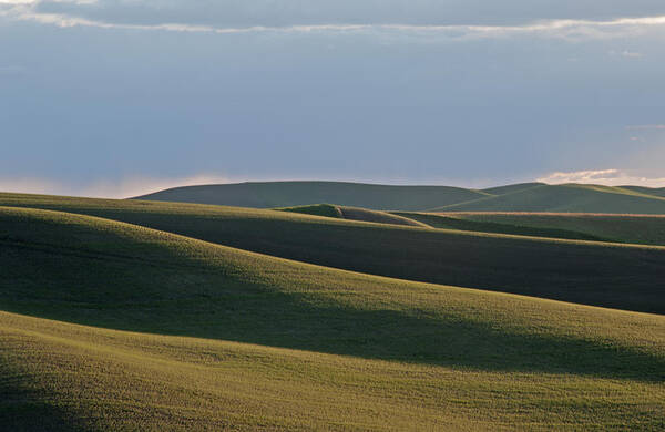 Palouse Poster featuring the photograph Gray to Green by Doug Davidson