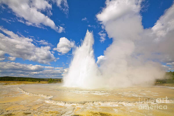 00431103 Poster featuring the photograph Great Fountain Geyser in Yellowstone by Yva Momatiuk and John Eastcott