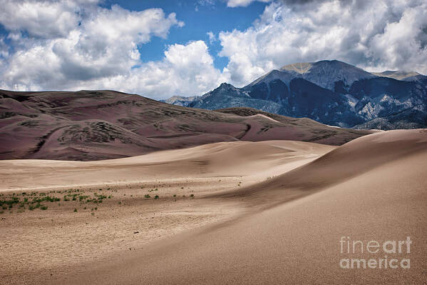 Sand Dunes Poster featuring the photograph Great Sand Dunes #6 by Nikolyn McDonald
