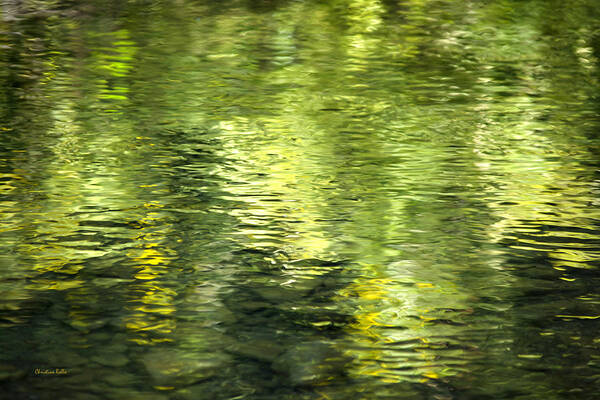 Abstract Water Poster featuring the photograph Green Abstract Water Reflection by Christina Rollo