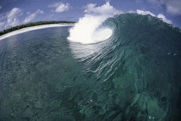  Ocean Energy Poster featuring the photograph Green Curl by Sean Davey