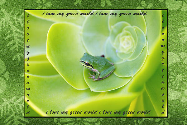 Green Poster featuring the photograph Green world by Patricia Dennis