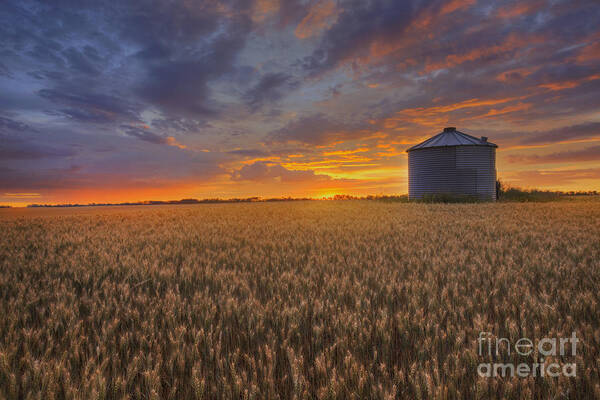 Sunrise Poster featuring the photograph Greeting the Sun by Dan Jurak