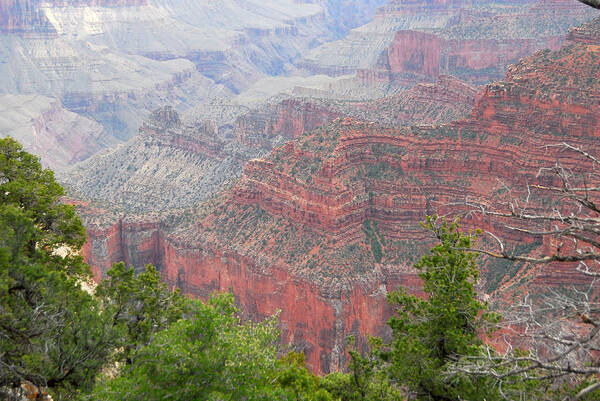 North Rim Poster featuring the photograph Grnd Canyon by Russell Walker