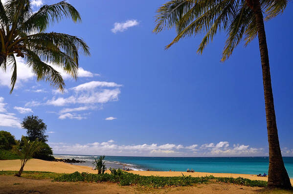 Hawaii Poster featuring the photograph Haena Beach Haven by Marie Hicks