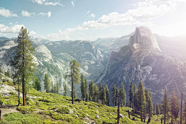Scenics Poster featuring the photograph Half Dome In Yosemite With Foreground by James O'neil