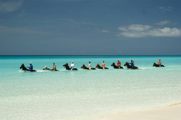 Horseback Poster featuring the photograph Half Moon Cay Bahamas beach scene by David Smith