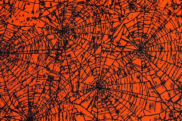 Spider Webs Poster featuring the photograph Halloween Spiderwebs by Patrice Zinck