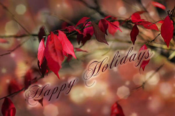 Christmas Poster featuring the photograph Happy Hoildays Greeting Card - Winged Euonymus Red Foliage by Carol Senske