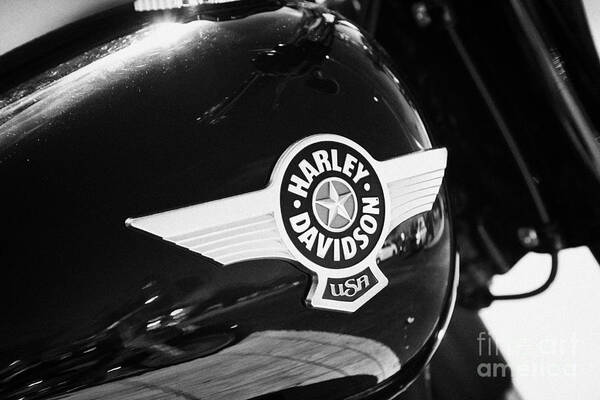 Number One Harley-Davidson with Stars Decal