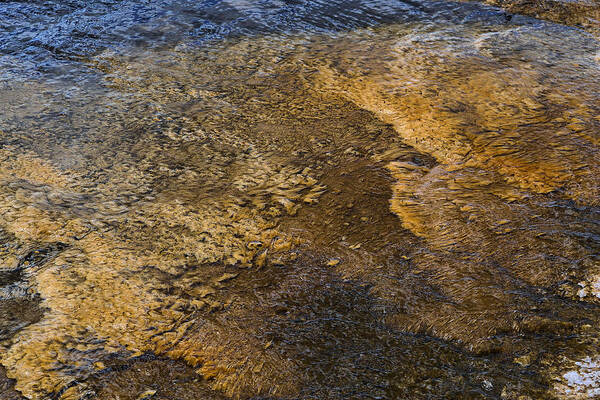 Water Poster featuring the photograph Harmony by Nadalyn Larsen