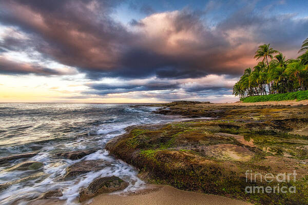 Surf Poster featuring the photograph Hawaiian Dream by Anthony Michael Bonafede