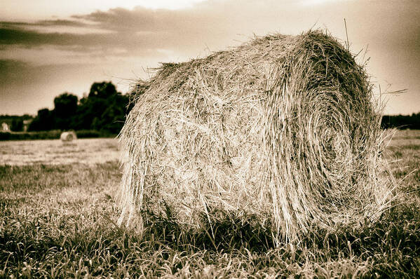 Pastos Poster featuring the photograph Hay Bale by Juan Torrero